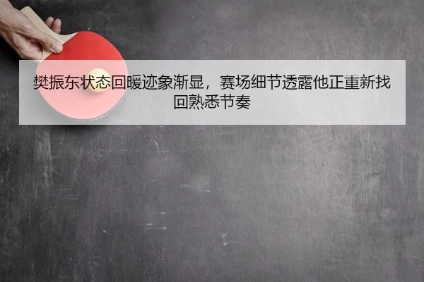 樊振东状态回暖迹象渐显，赛场细节透露他正重新找回熟悉节奏